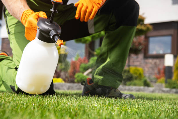 Pest Control Cost in Berlin, NH