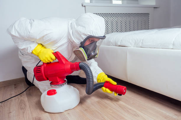 Best Termite Control Services  in Berlin, NH