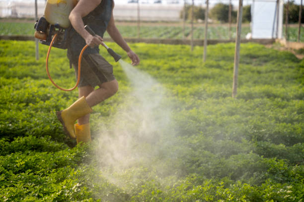 Best Pest Control Cost  in Berlin, NH