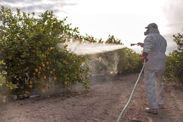 Reliable Berlin, NH Pest Control Solutions