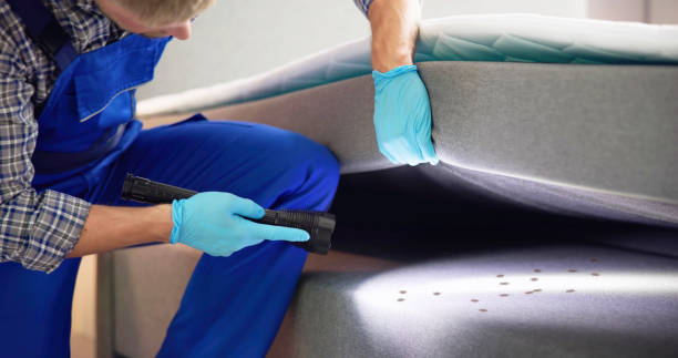 Best Best Pest Control Companies  in Berlin, NH