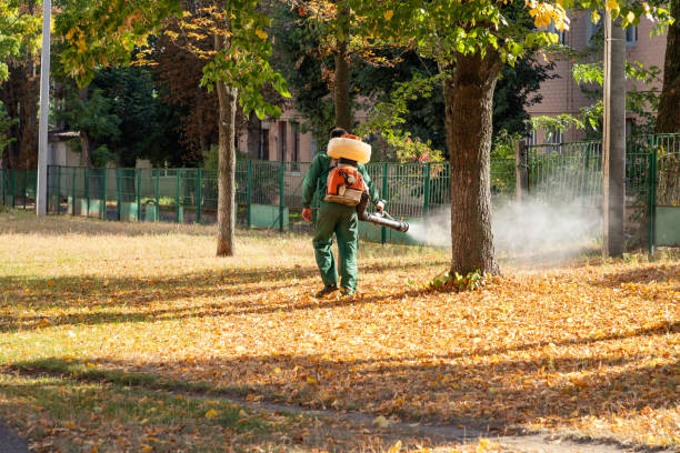Best Affordable Pest Control Services  in Berlin, NH