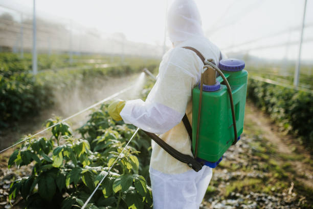 Best Local Pest Control Services  in Berlin, NH